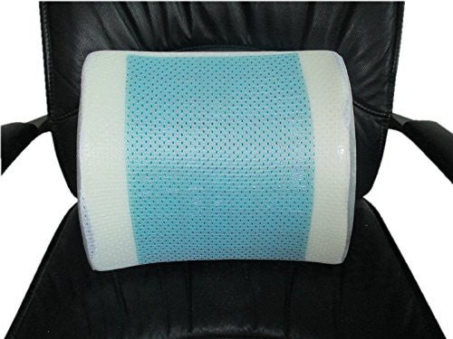 Medical Seat Cushion Baelscmcx With Natural Back Pain Relief