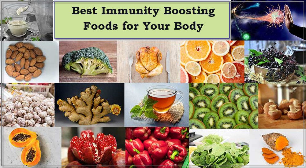6 Best Immunity Boosting Foods for Your Body