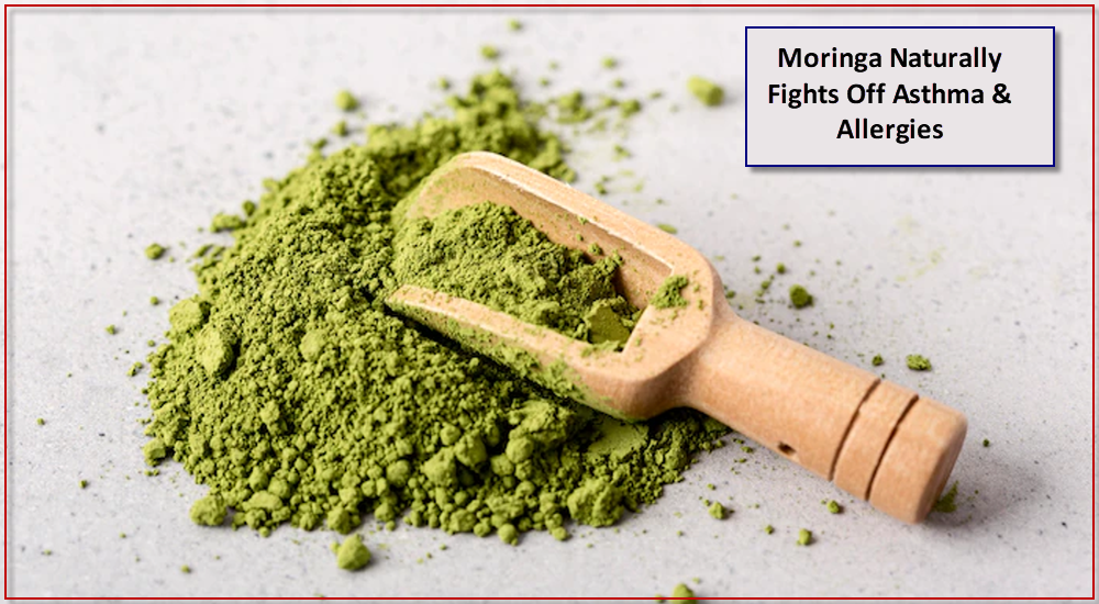 Moringa Naturally Fights Off Asthma & Allergies