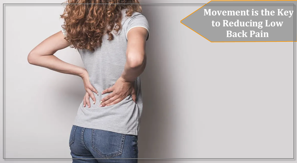 Low Back Pain: Movement is the Key to Reducing Low Back Pain