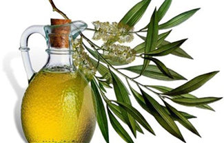 Tea Tree Oil: The beauty ingredient that will get you rid of acne!