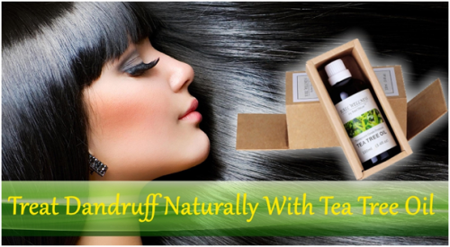 How to Treat Dandruff Using Tea Tree Oil