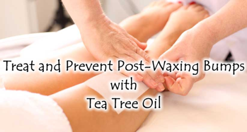 Tea Tree Oil is Great for Treating and Preventing Bumps After Waxing